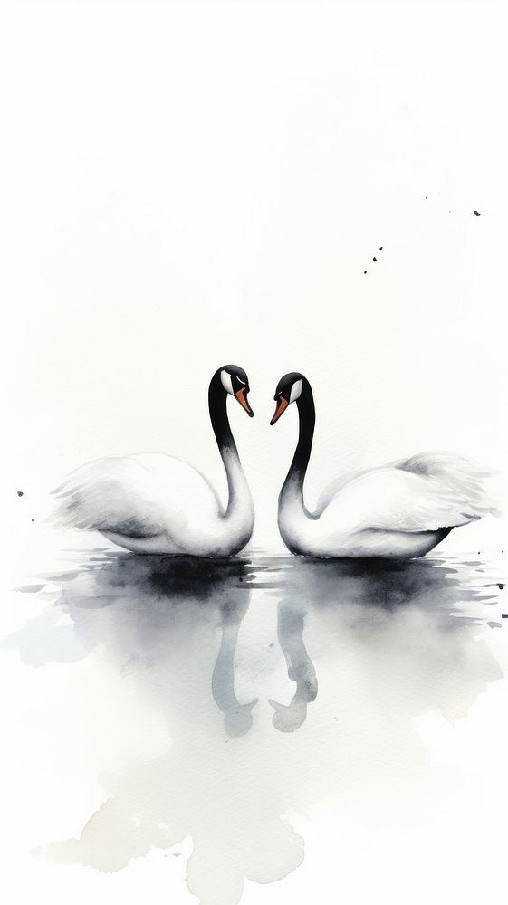 Two swans animal white bird.