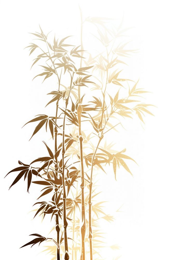 A bamboo bush plant white background tranquility.