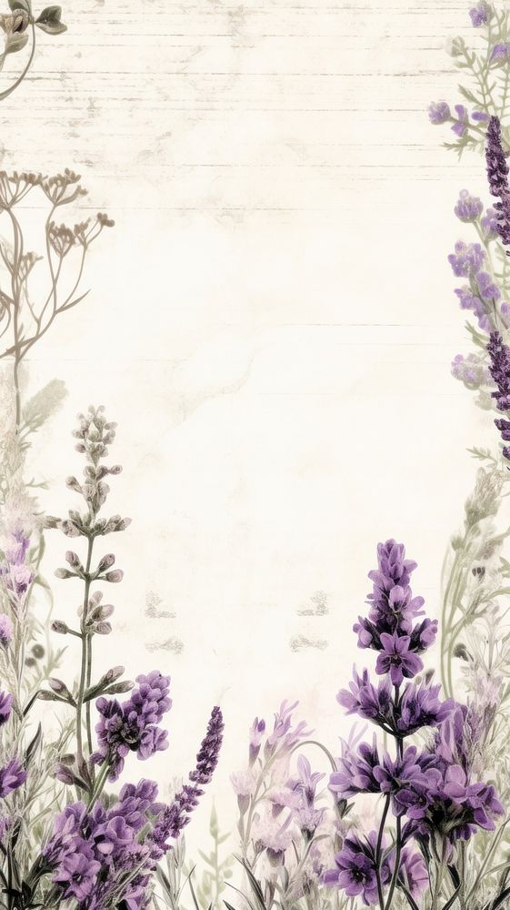 Wallpaper ephemera pale lavender herbs flower purple.