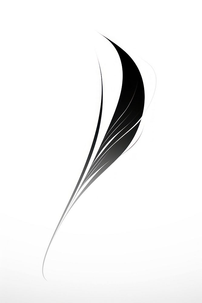 Feather vectorized line logo abstract black.
