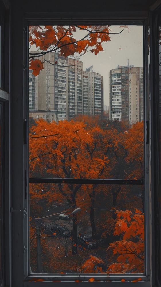 Autumn window plant tree.