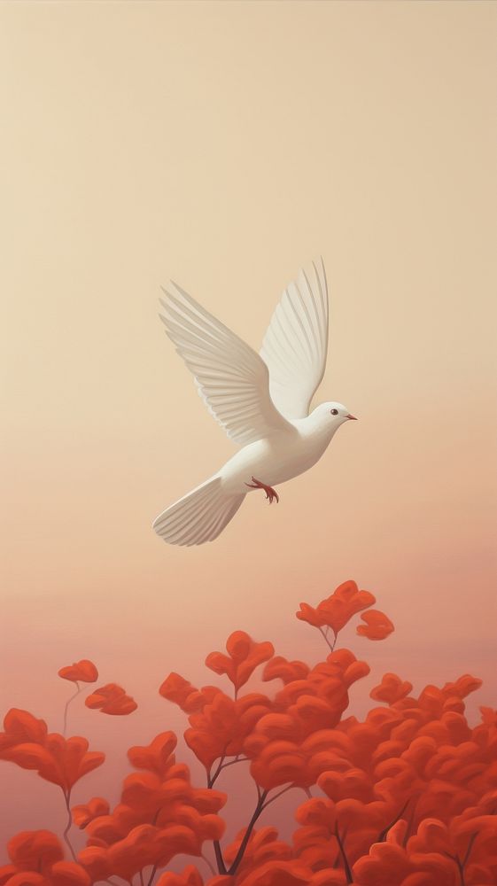Animal flying bird dove.
