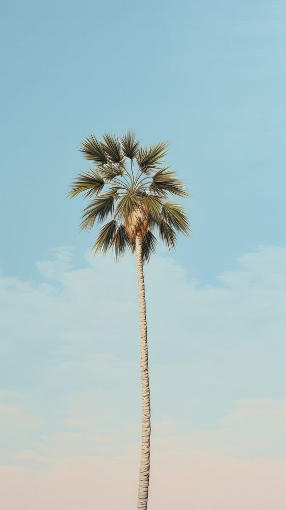 Tree plant tranquility palm tree.