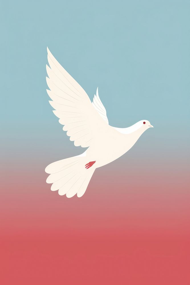 Minimalist Illustration of flying dove bird seagull seabird.
