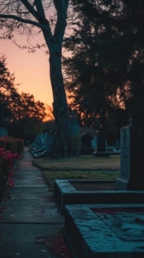 Aesthetic grave landscape wallpaper tombstone outdoors cemetery.