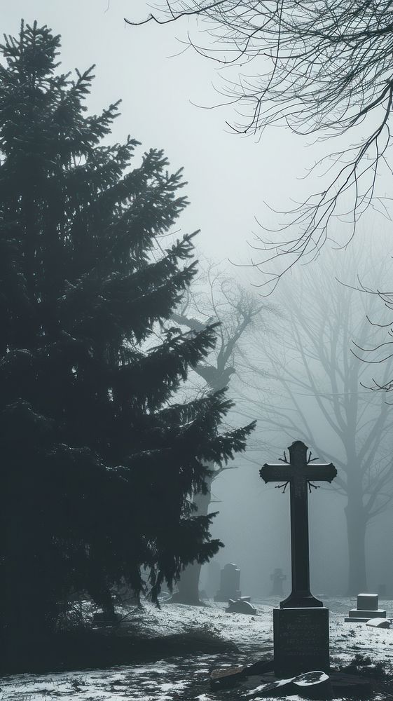 Aesthetic grave landscape wallpaper tombstone outdoors cemetery.