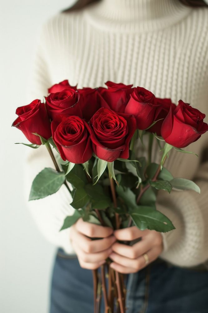 Person holding red roses flower plant adult.