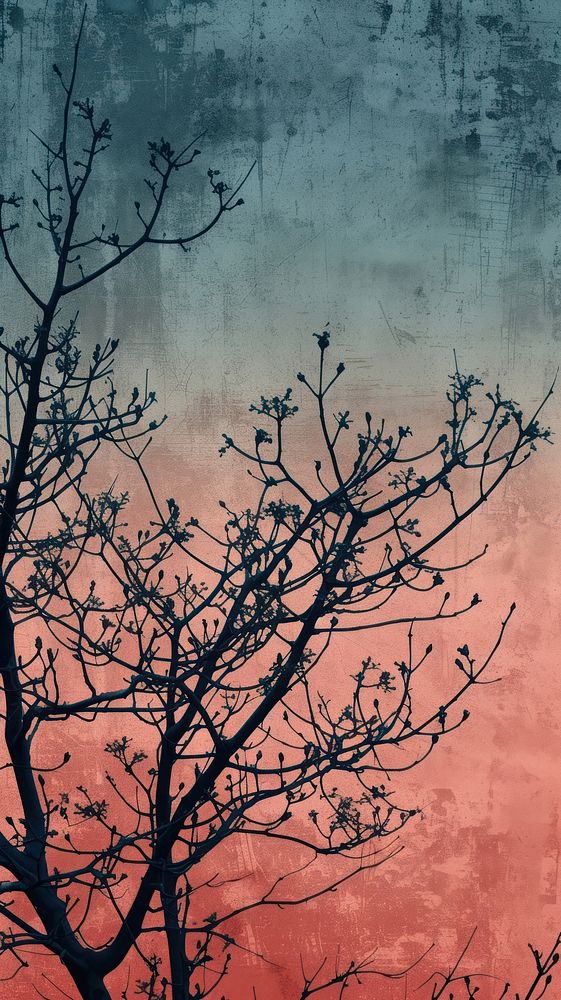 Aesthetic wallpaper tree silhouette outdoors.