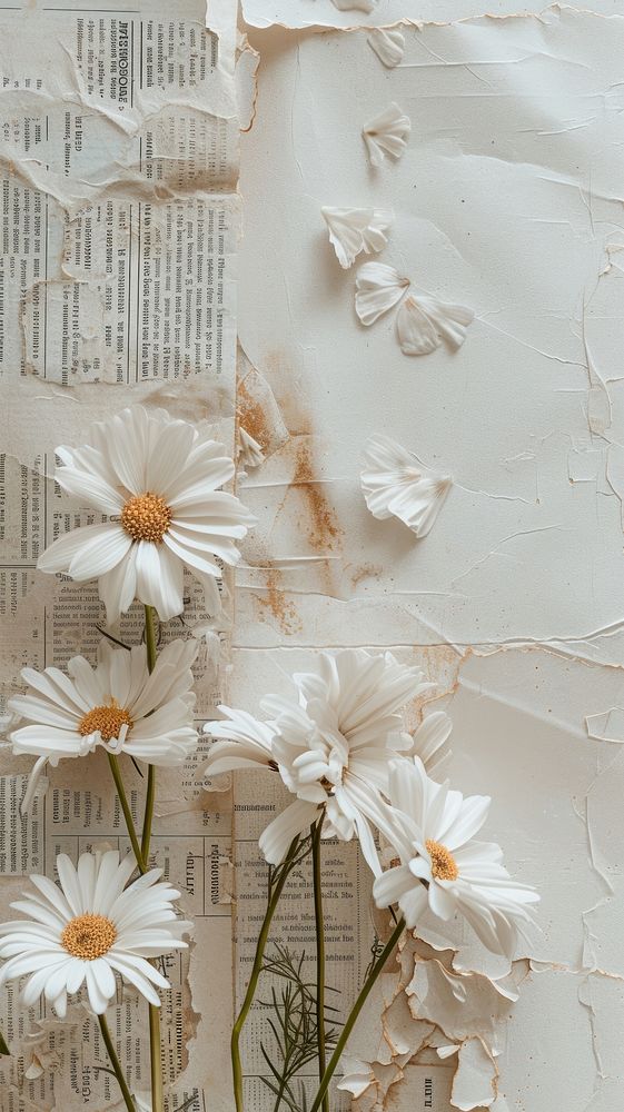 Cute wallpaper flower backgrounds petal.
