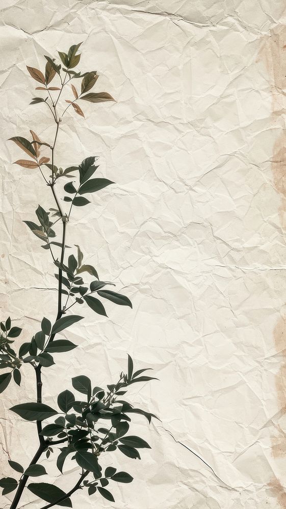 Ephemera border paper backgrounds plant.