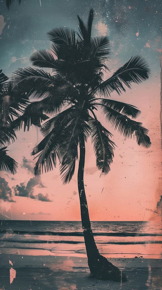 Story background beach tree silhouette.