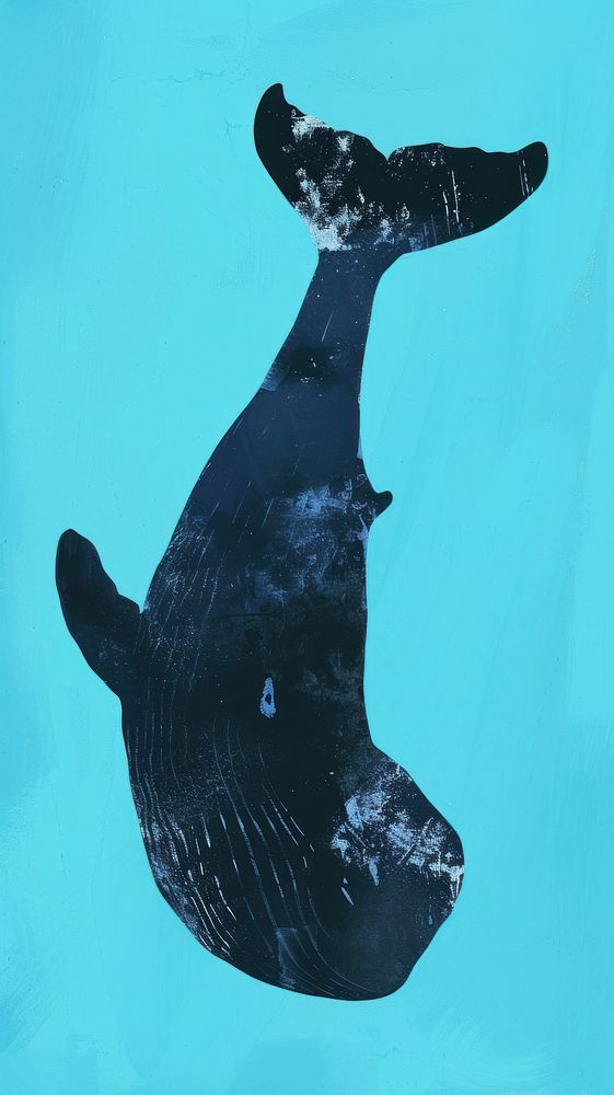 Whale animal mammal underwater.