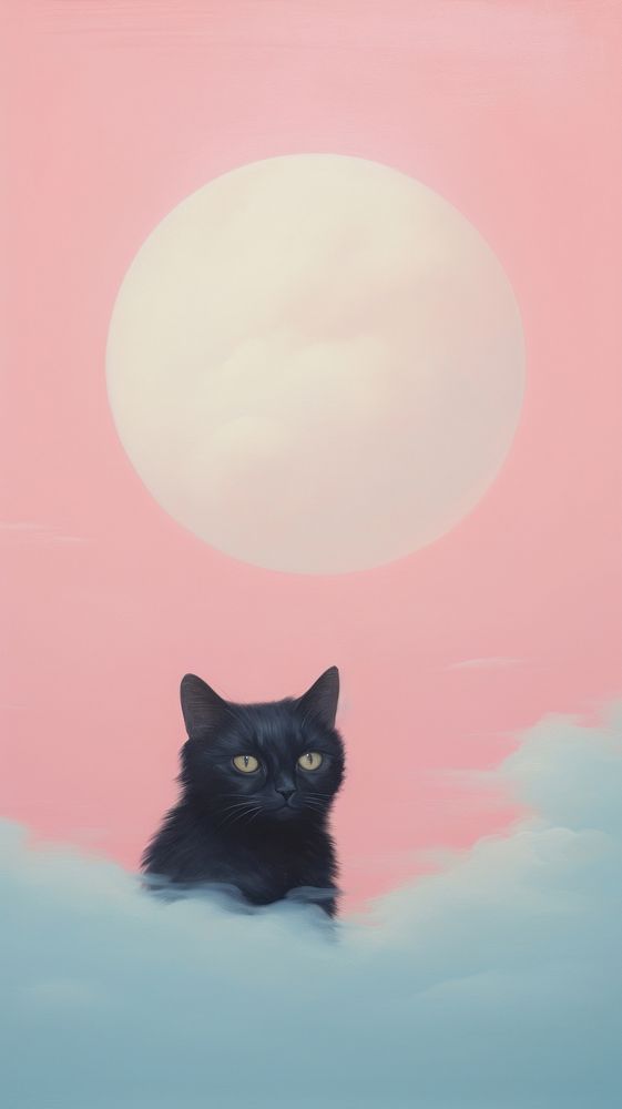 Cat on pastel cloud sky mammal animal nature.