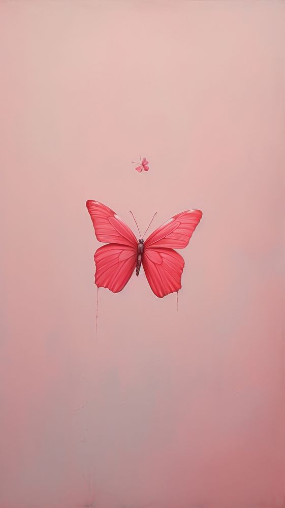 Butterfly in aesthetic sky petal creativity fragility.
