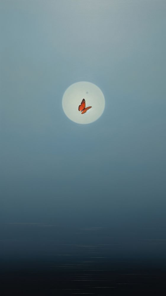 Butterfly in aesthetic sky outdoors nature moon.