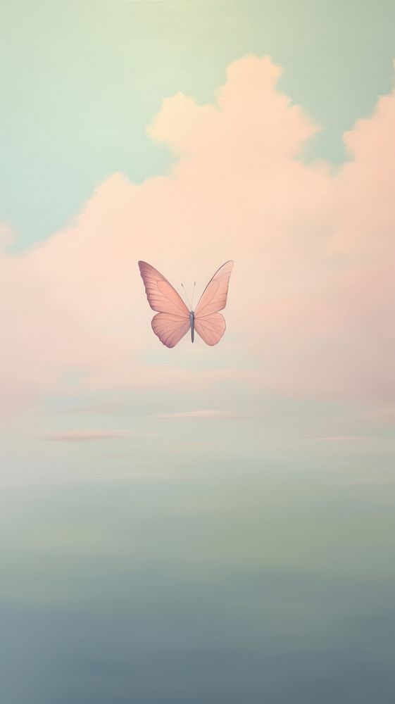 Butterfly in pastel sky outdoors nature flying.