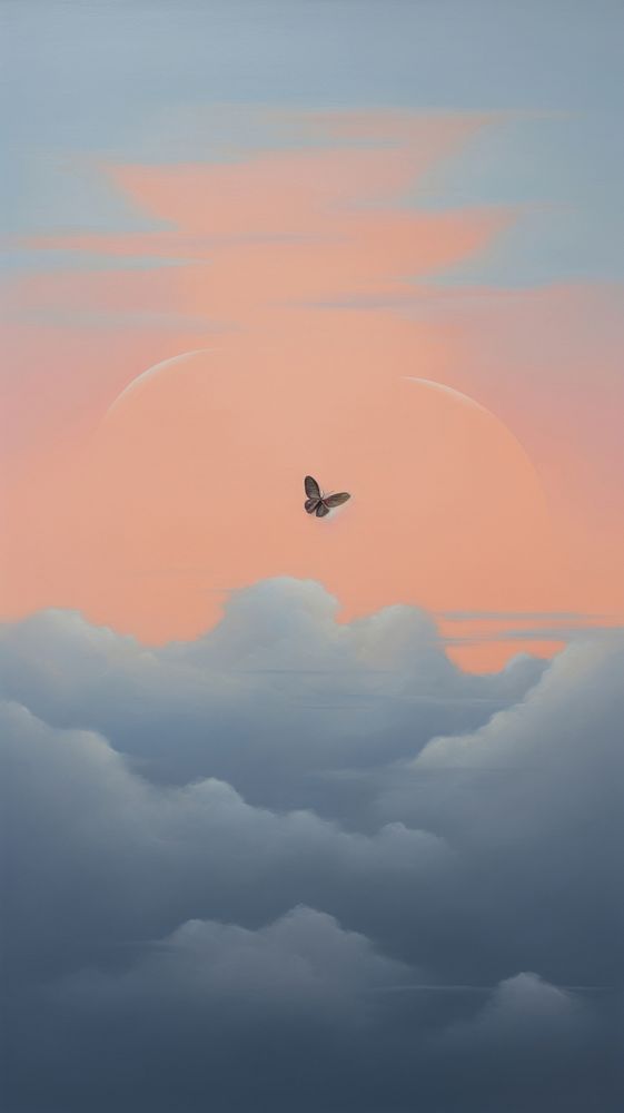 Butterfly in pastel sky airplane aircraft outdoors.