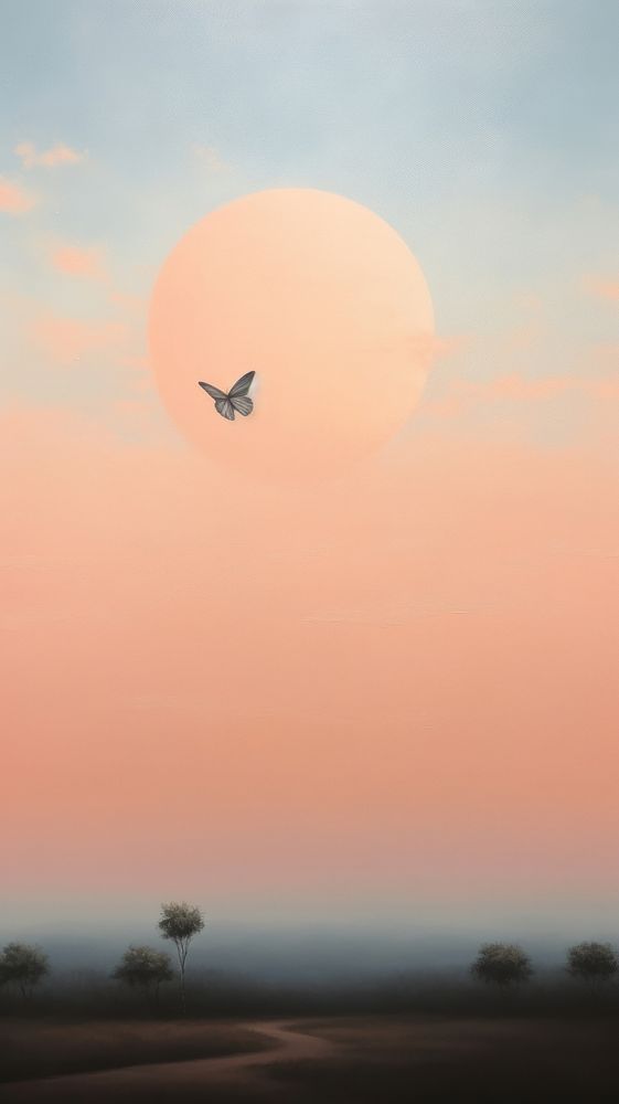 Butterfly in pastel sky astronomy aircraft outdoors.