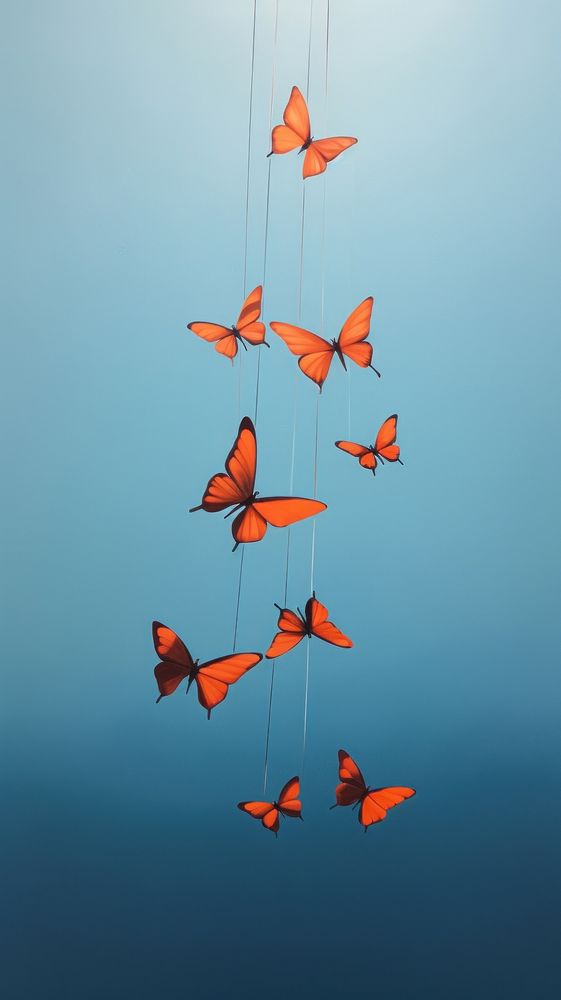 Butterflys in aesthetic sky animal flying toy.
