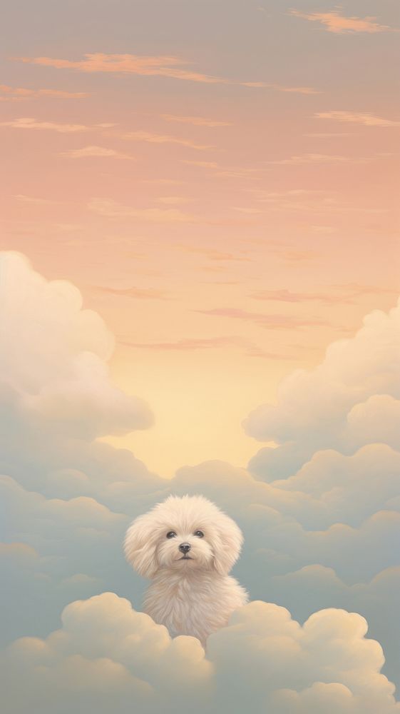 Dog on pastel cloud sky outdoors mammal animal.