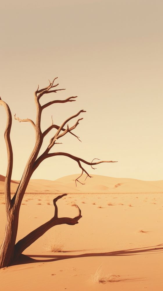  Nature outdoors desert tranquility. AI generated Image by rawpixel.