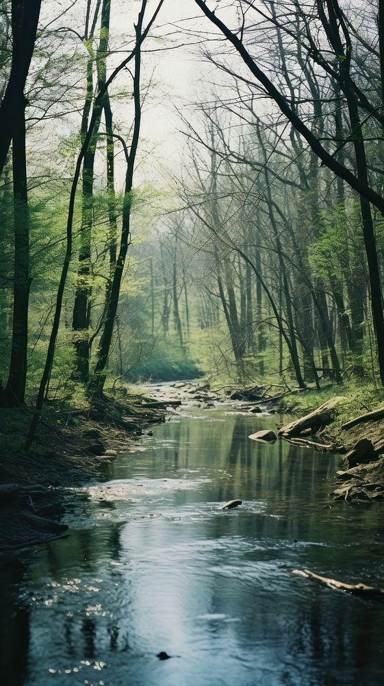  River forest wilderness landscape. AI generated Image by rawpixel.