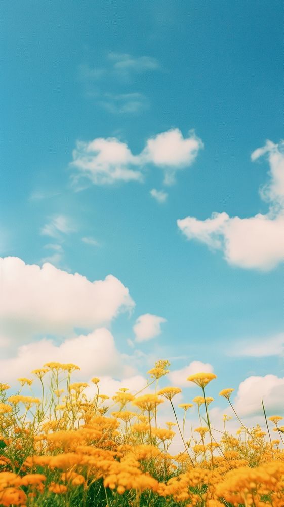  Sky landscape grassland outdoors. AI generated Image by rawpixel.