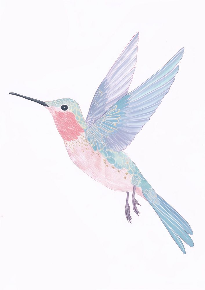 Hummingbird drawing animal art. AI generated Image by rawpixel.