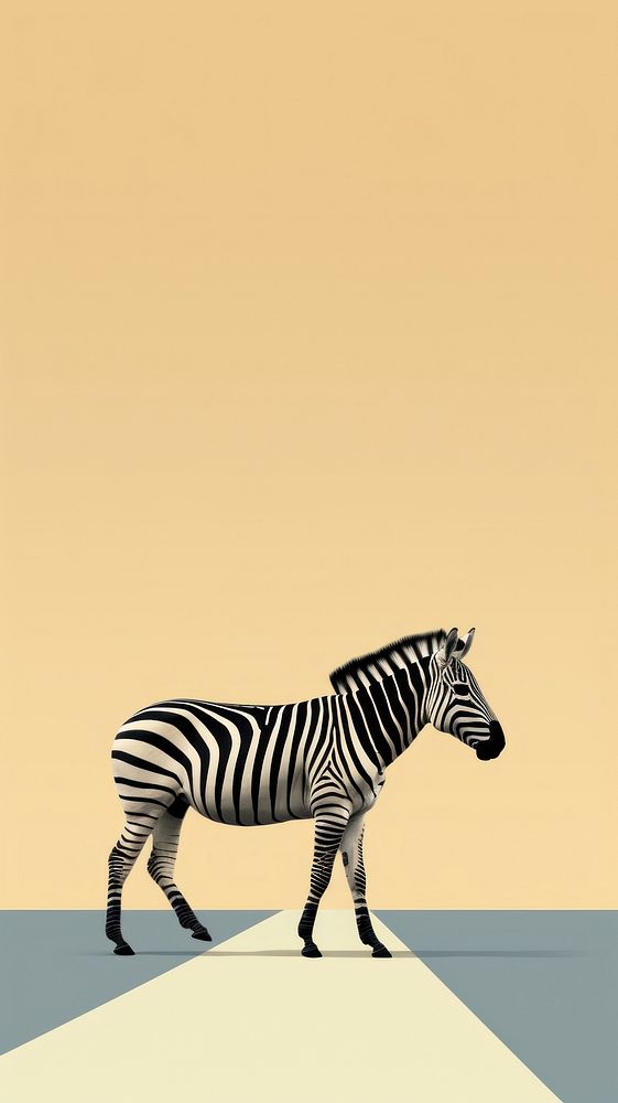  A zebra walks over the crosswalk wildlife animal mammal. AI generated Image by rawpixel.