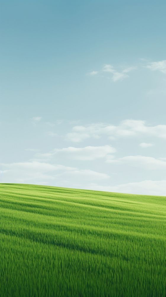 Green grass field outdoors horizon nature. AI generated Image by rawpixel.