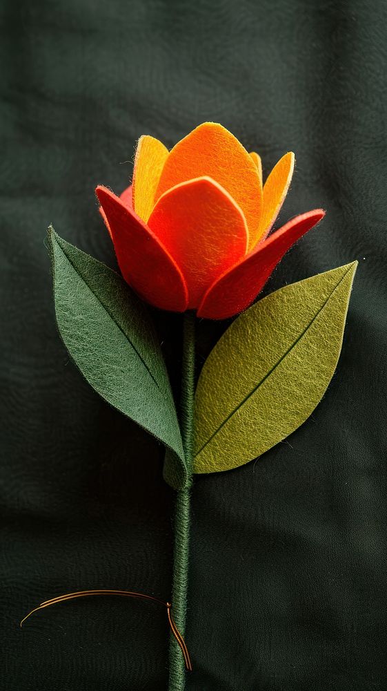 Wallpaper of felt tulip art textile flower.