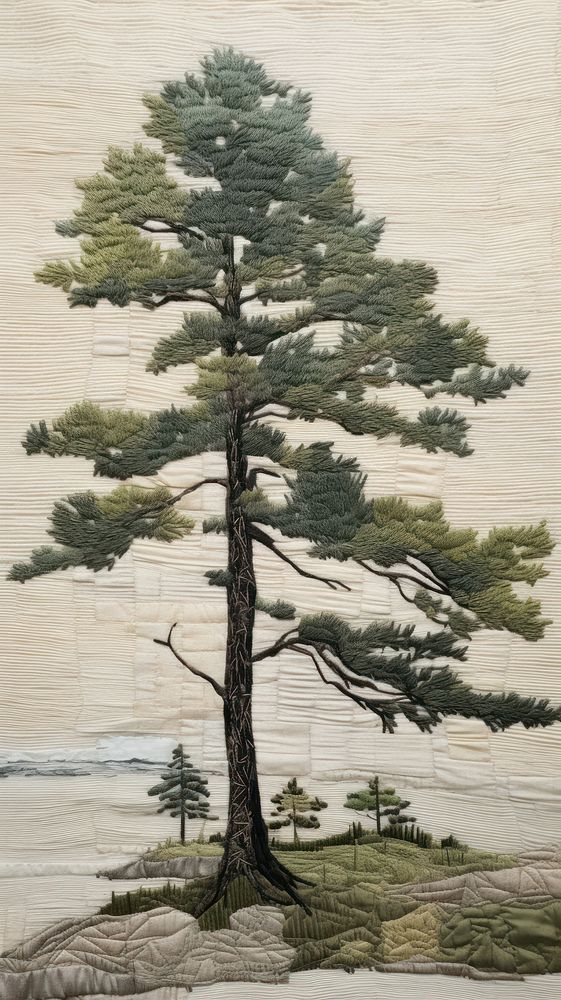 Pine tree drawing sketch plant.