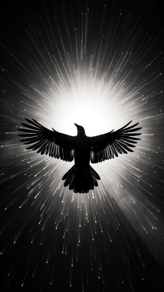 Flying crow light silhouette monochrome.