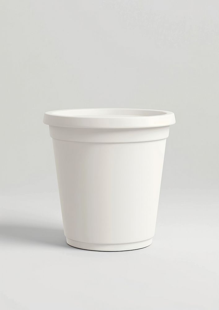 Ice cream tub  porcelain white bowl.