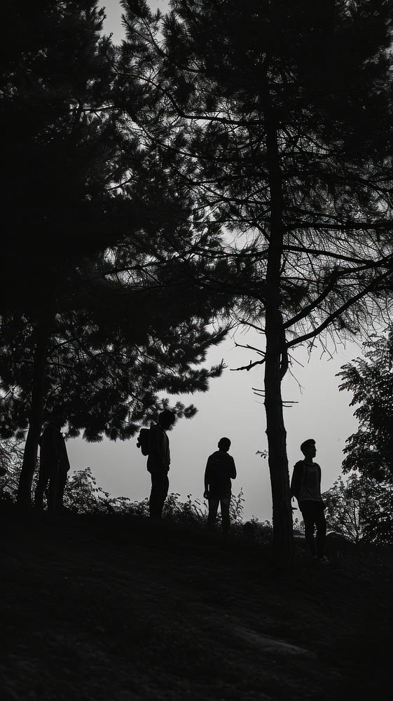 Photography of group of people at park silhouette outdoors walking.