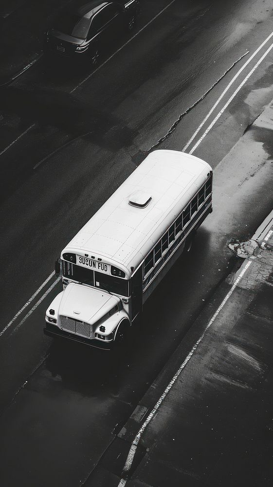 Photography of photograph school bus vehicle white black.