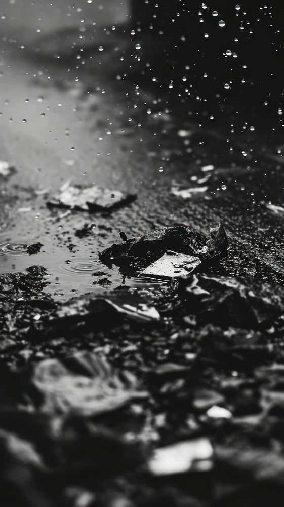 Photography of raining on garbage outdoors nature motion.
