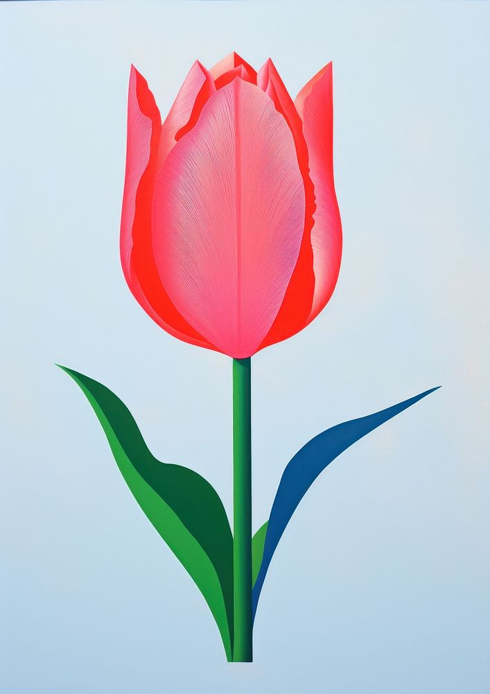 Tulip flower plant inflorescence creativity.