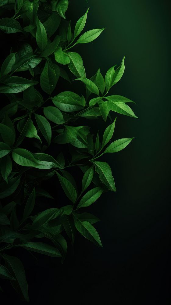  Green wallpaper nature plant leaf. AI generated Image by rawpixel.