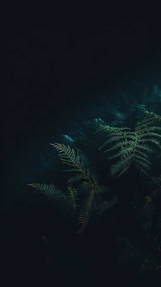  Green wallpaper nature outdoors night. AI generated Image by rawpixel.