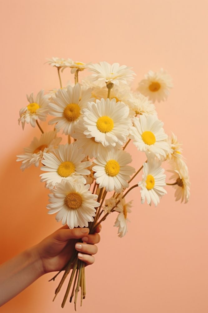 Hand holding daisy bouquet flower petal plant. AI generated Image by rawpixel.