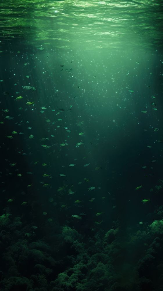  Green wallpaper backgrounds underwater outdoors. AI generated Image by rawpixel.
