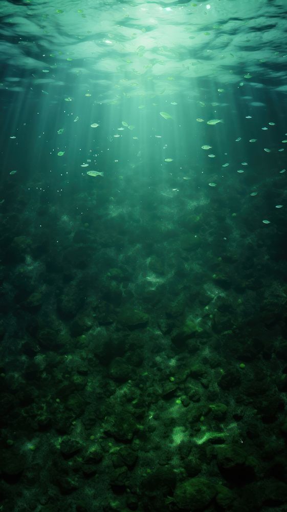 Green wallpaper backgrounds underwater outdoors. AI generated Image by rawpixel.