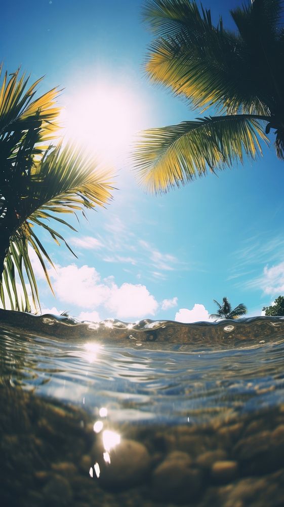 Summer beach sunlight outdoors.