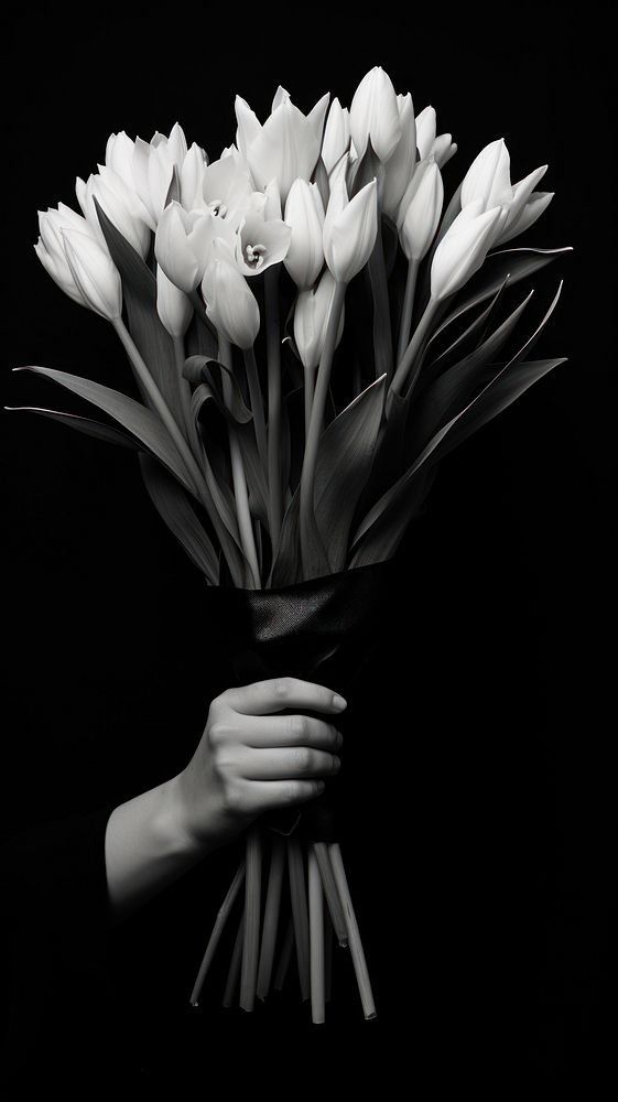 Photography of merry bouquet monochrome flower plant.