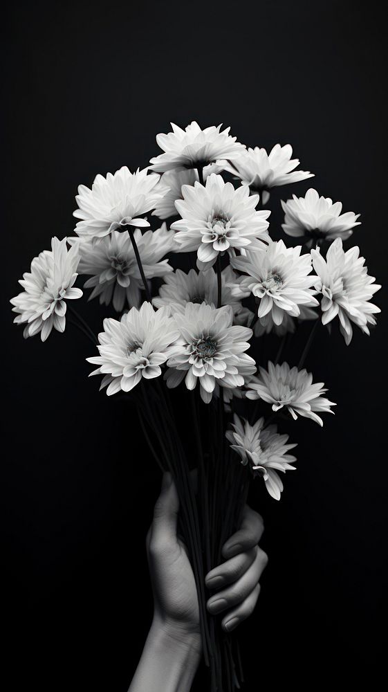 Photography of merry bouquet monochrome flower petal.