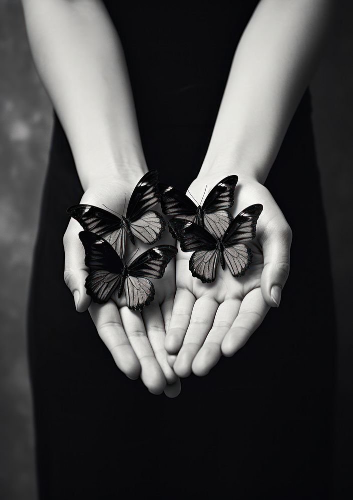 Photography of butterflies hand finger black.