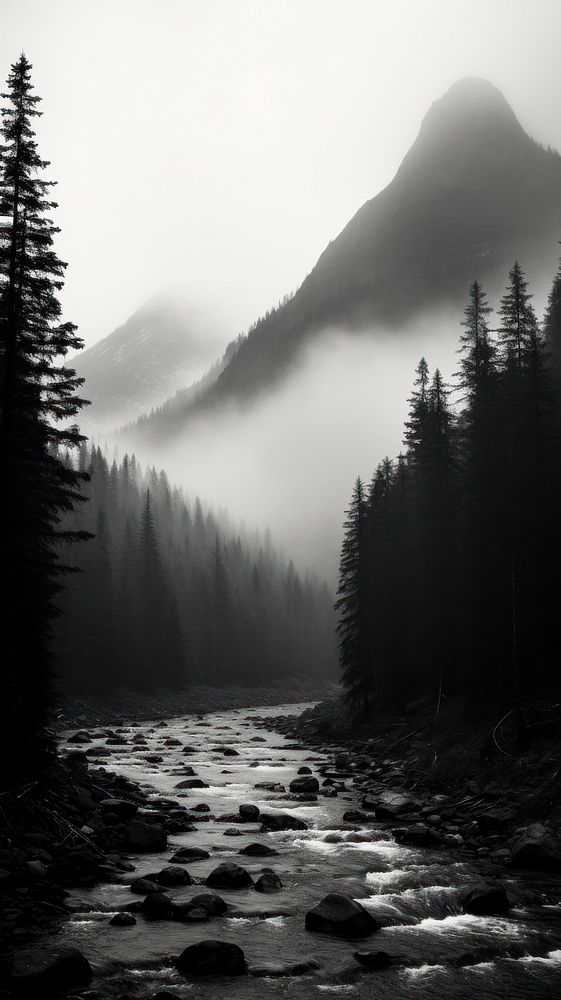 Photography of forest with mountain wilderness monochrome outdoors.