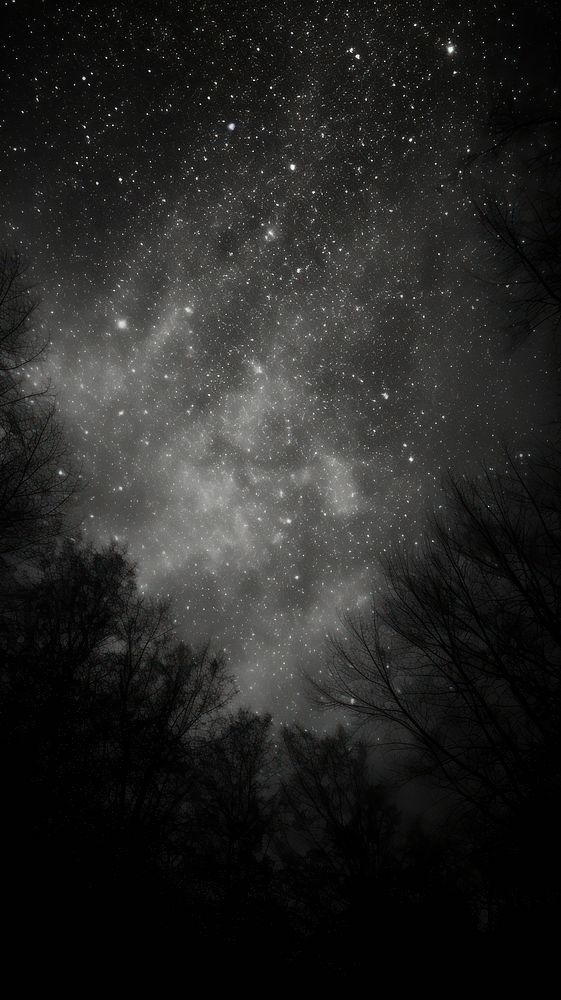 Photography of forest night monochrome astronomy outdoors.