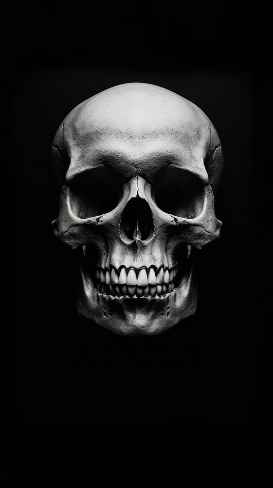 Photography of skull photography monochrome portrait.